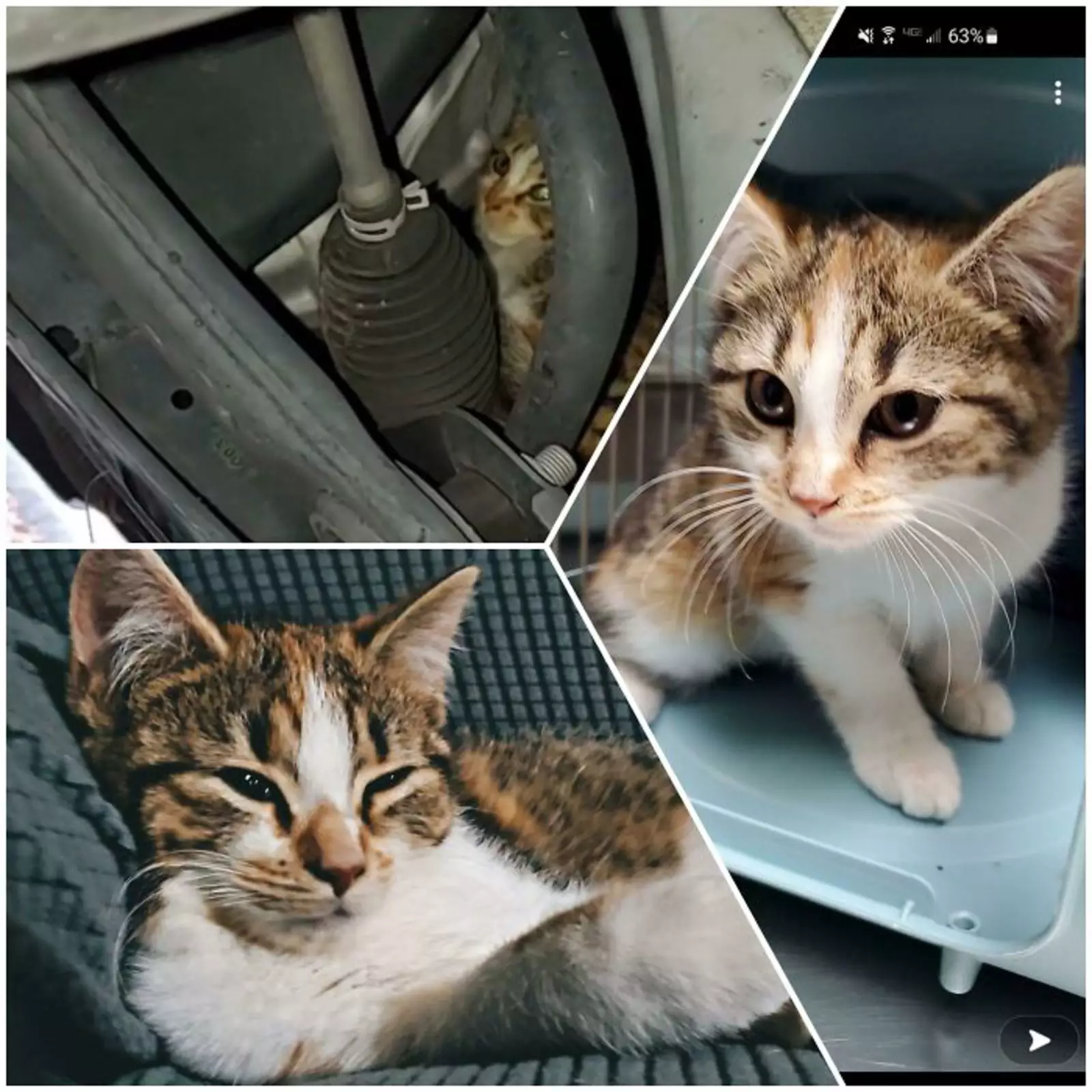 «В Рождество мы с мужем вытащили эту малышку из машины прямо на парковке».