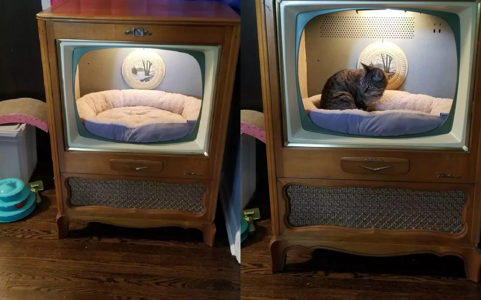 Мужчина превратил старый телевизор в домик для кошки.
