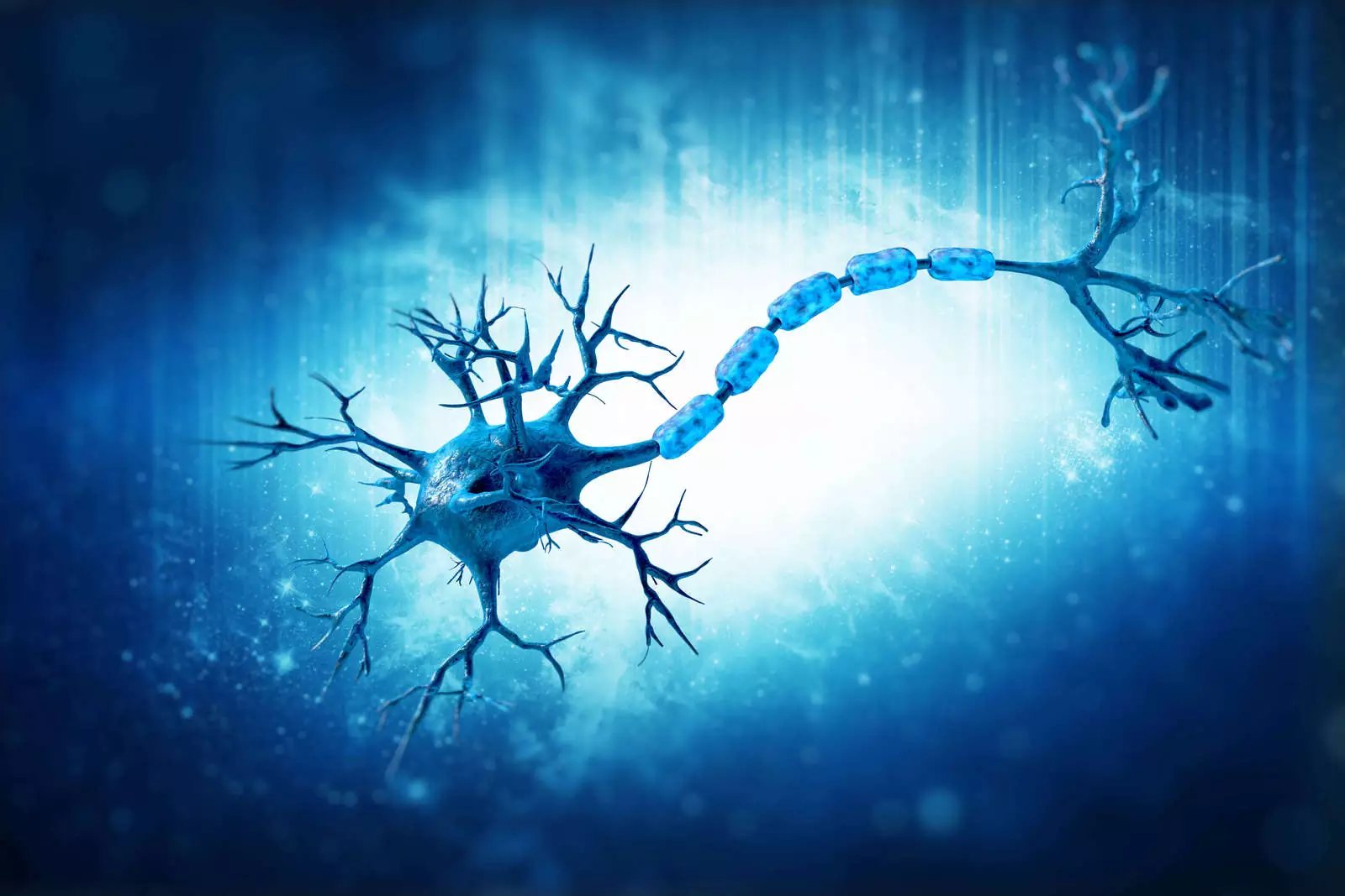 Искусственный нейрон передаёт дофамин в обе стороны.