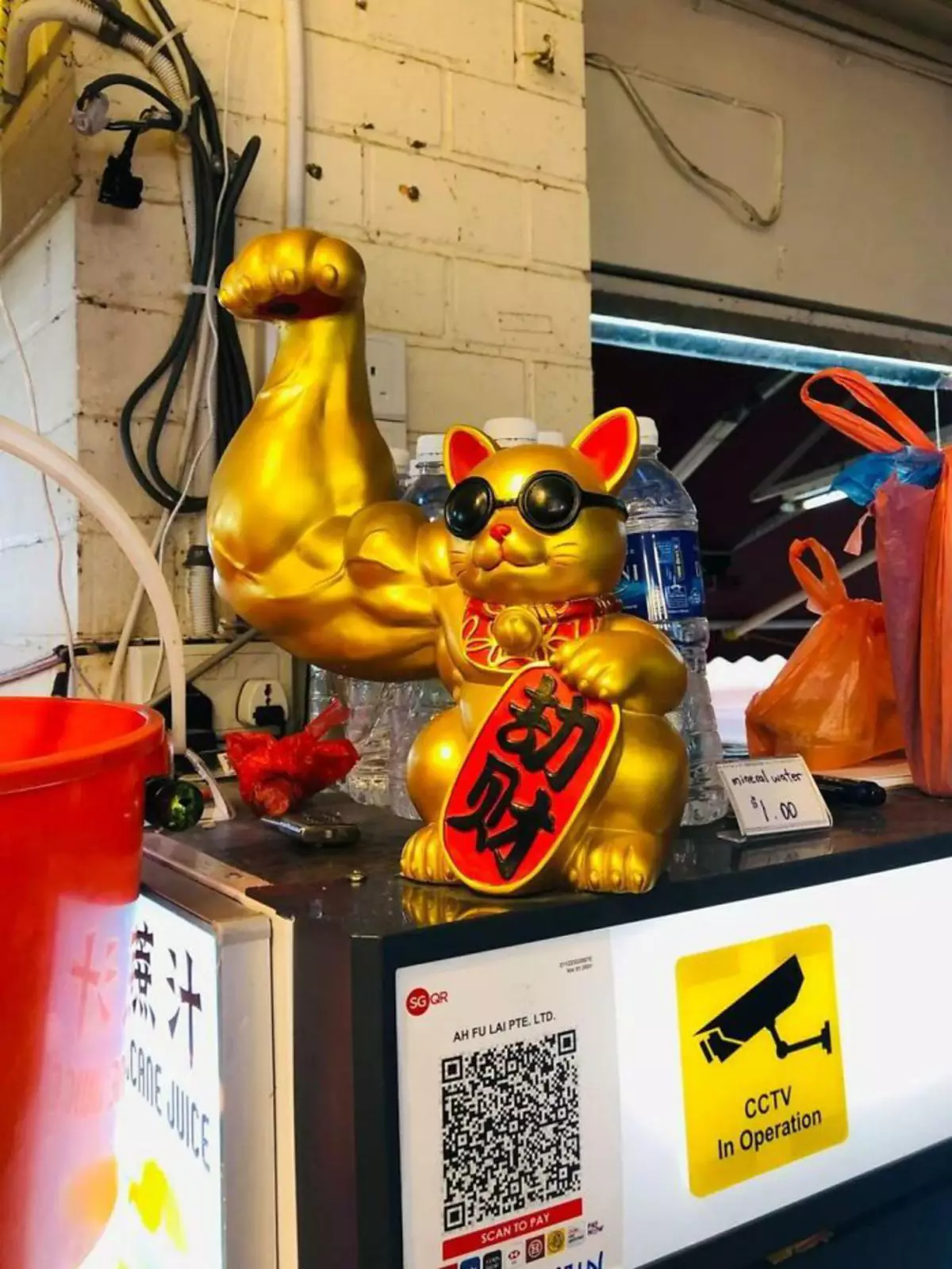 Кот, который приносит удачу и бицепсы. Кот, который приносит удачу и бицепсы.