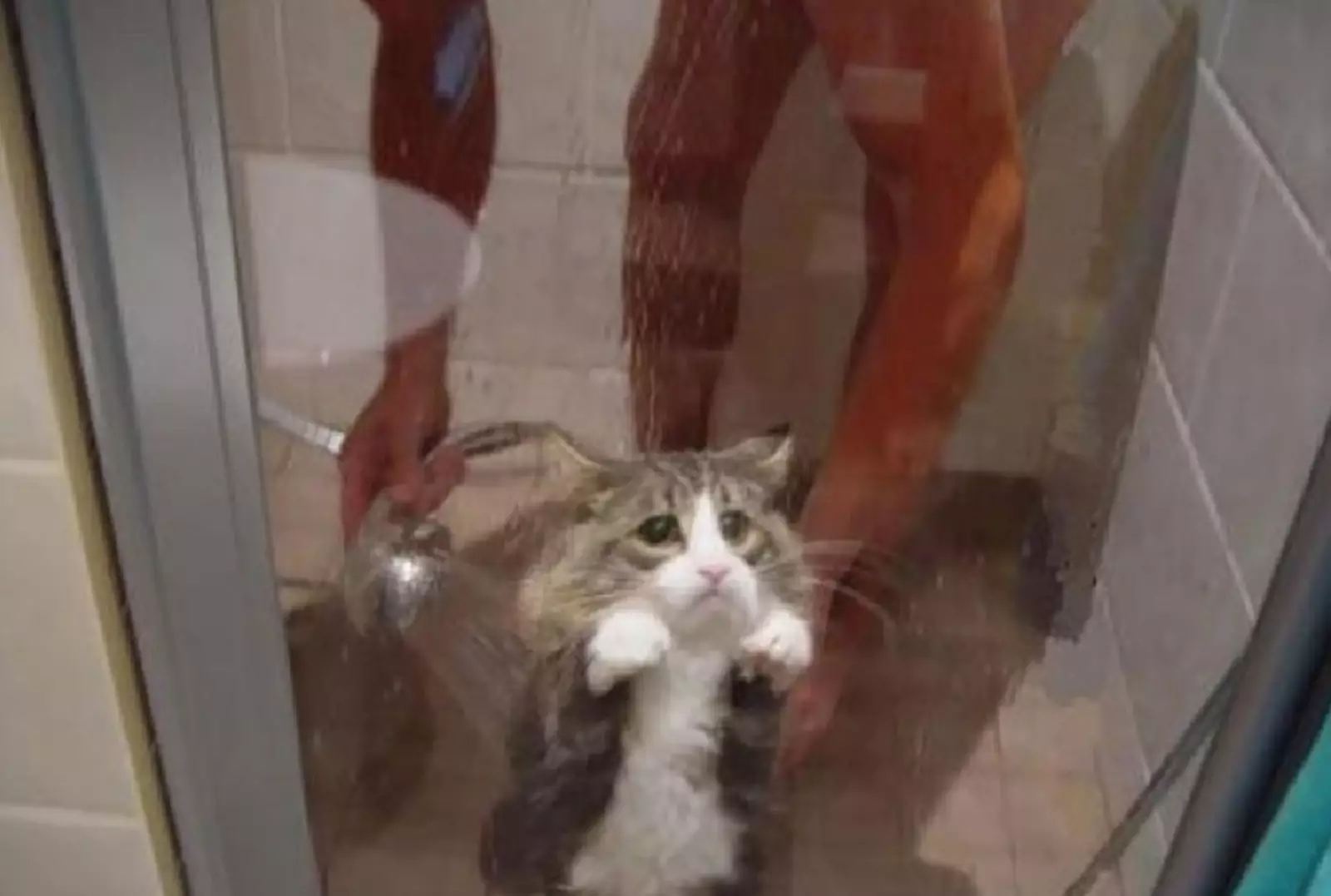 Попался. Попался.