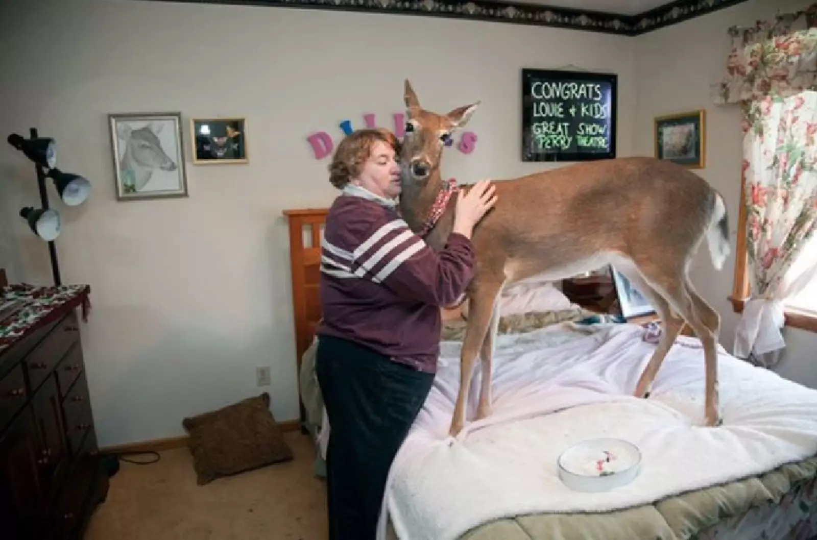 А кто-то даже кошек на кровать не пускает. А кто-то даже кошек на кровать не пускает.