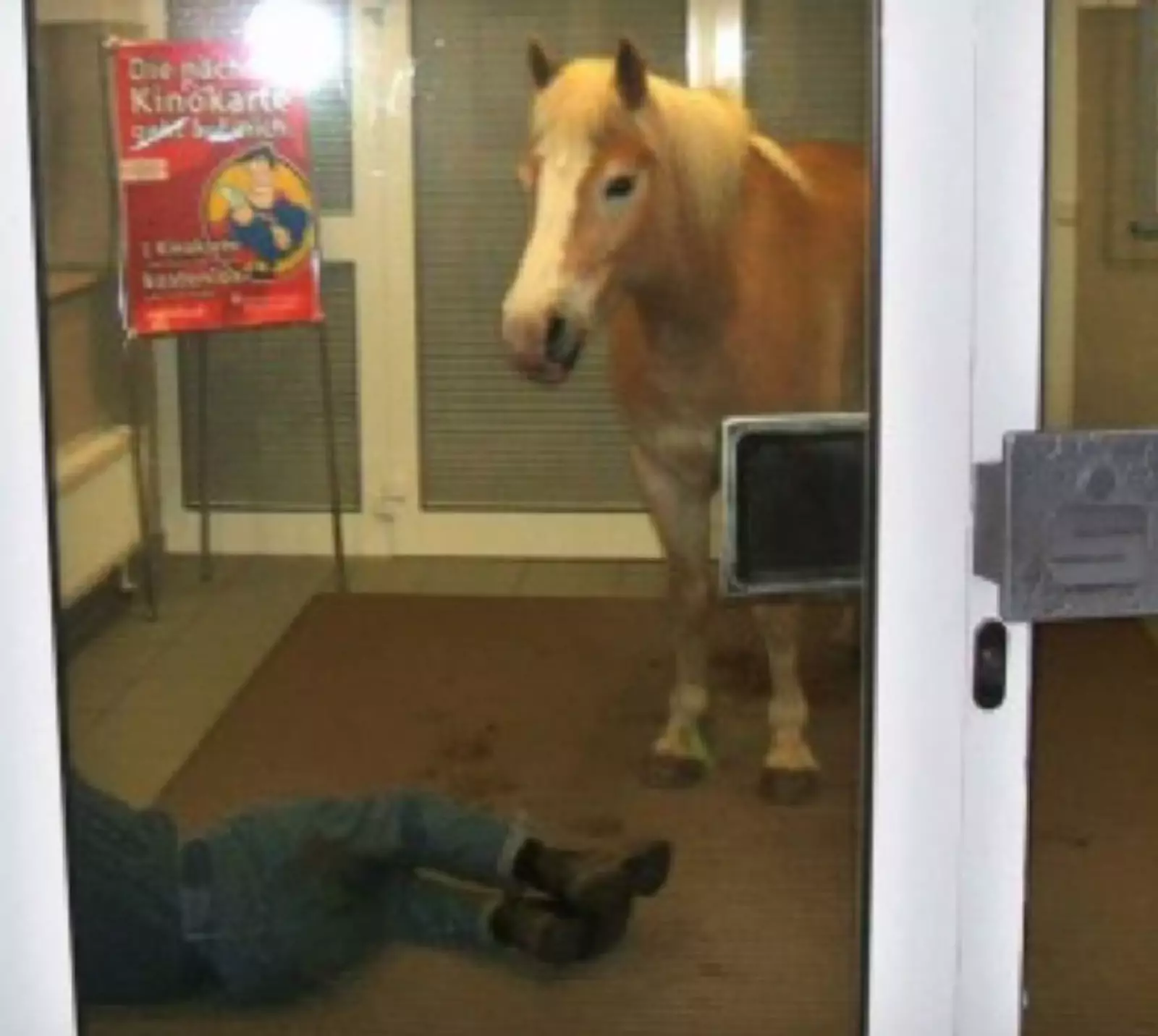 Кажется, что мужчина неудачно сразился с лошадкой. Кажется, что мужчина неудачно сразился с лошадкой.