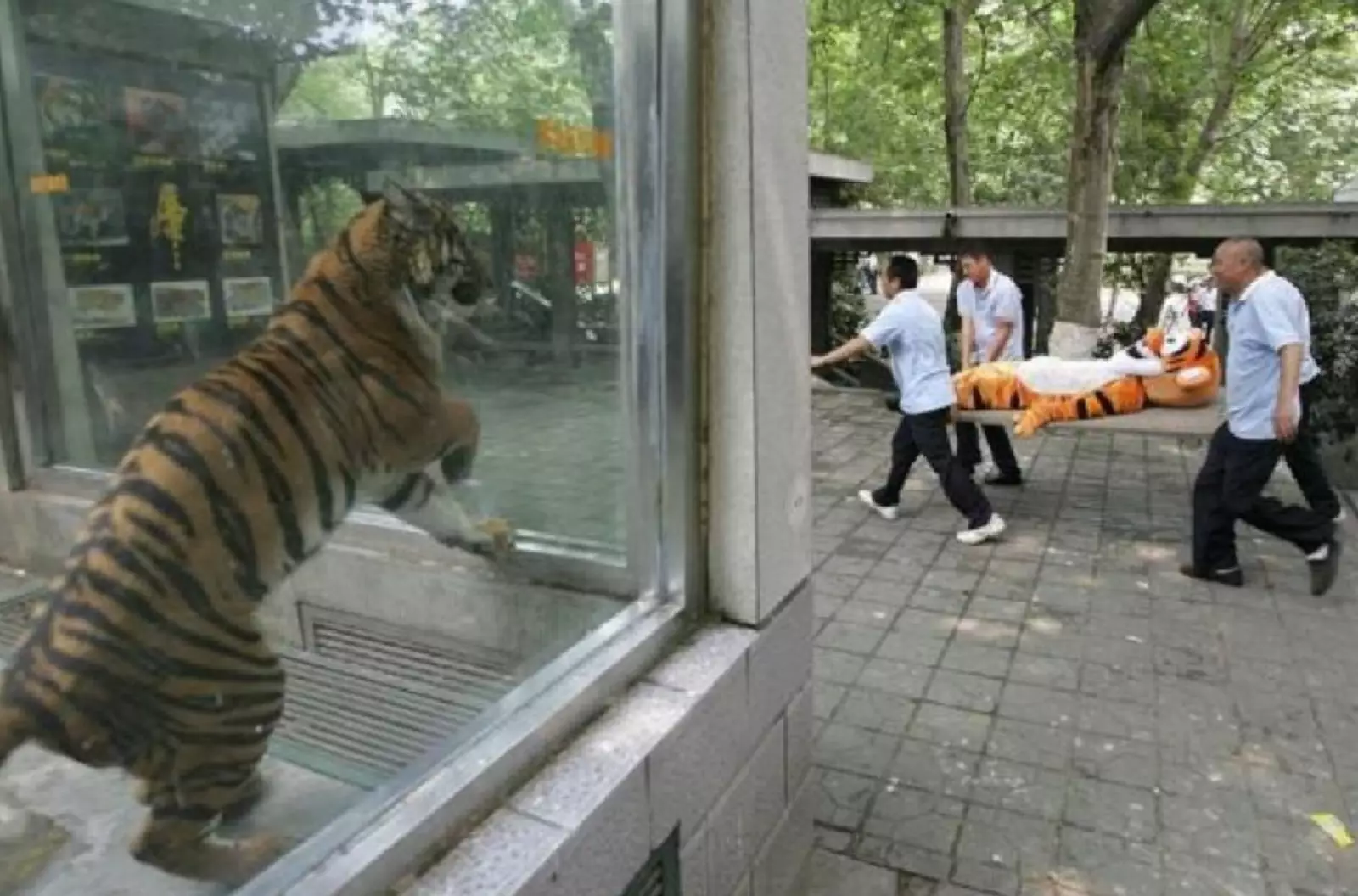 «Не-е-е-е-ет!» «Не-е-е-е-ет!»