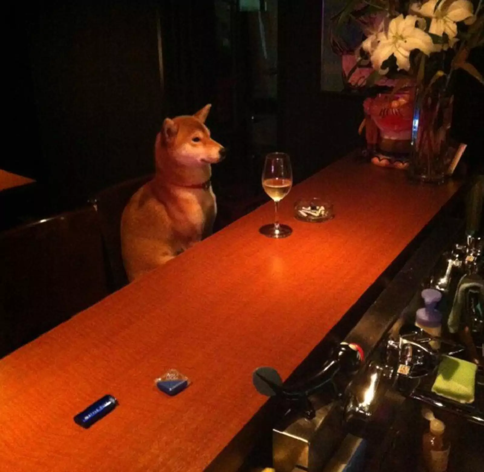 Просто приятный вечер с бокалом вина. Просто приятный вечер с бокалом вина.