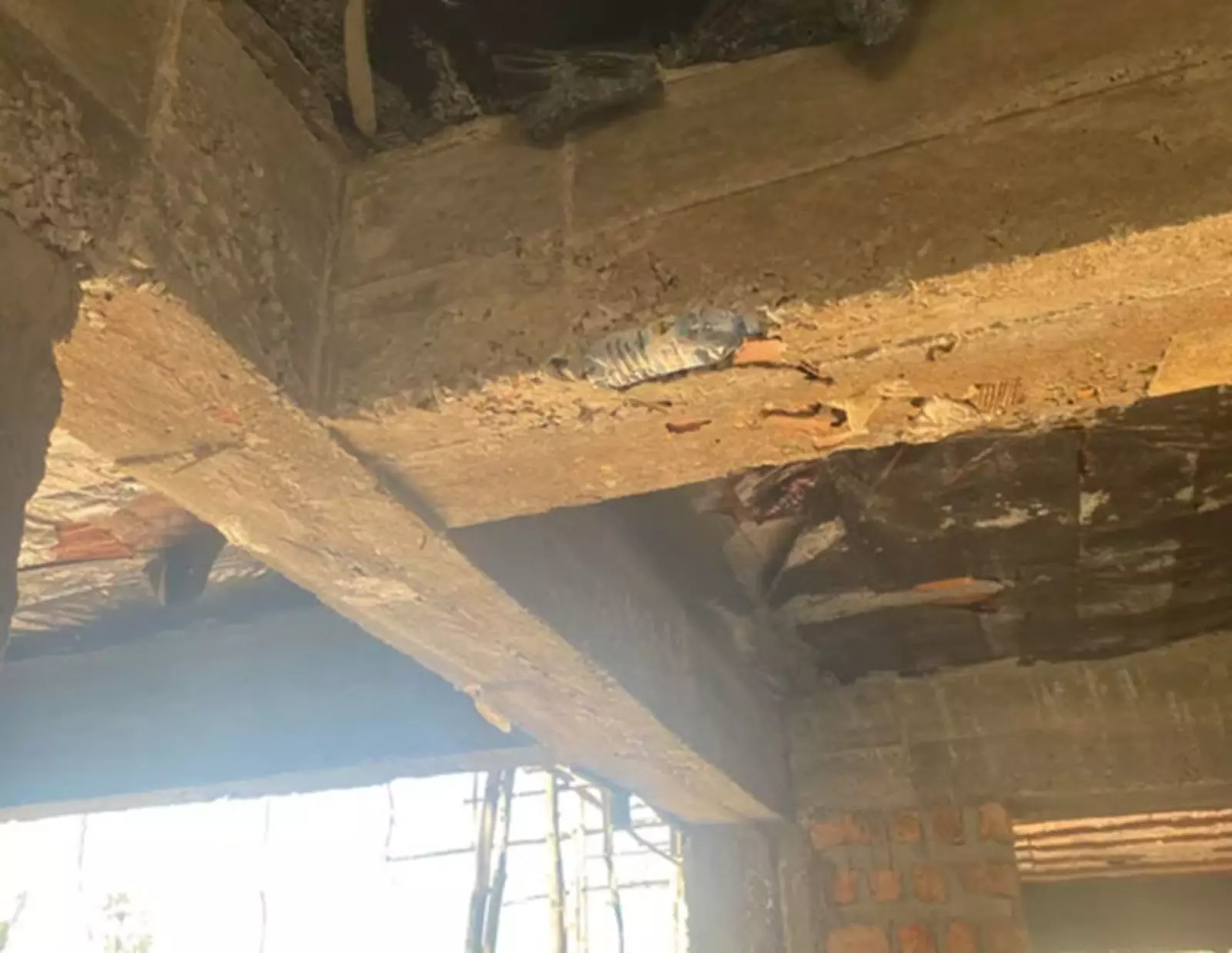 Кто-то так и не нашел свою воду. Кто-то так и не нашел свою воду.