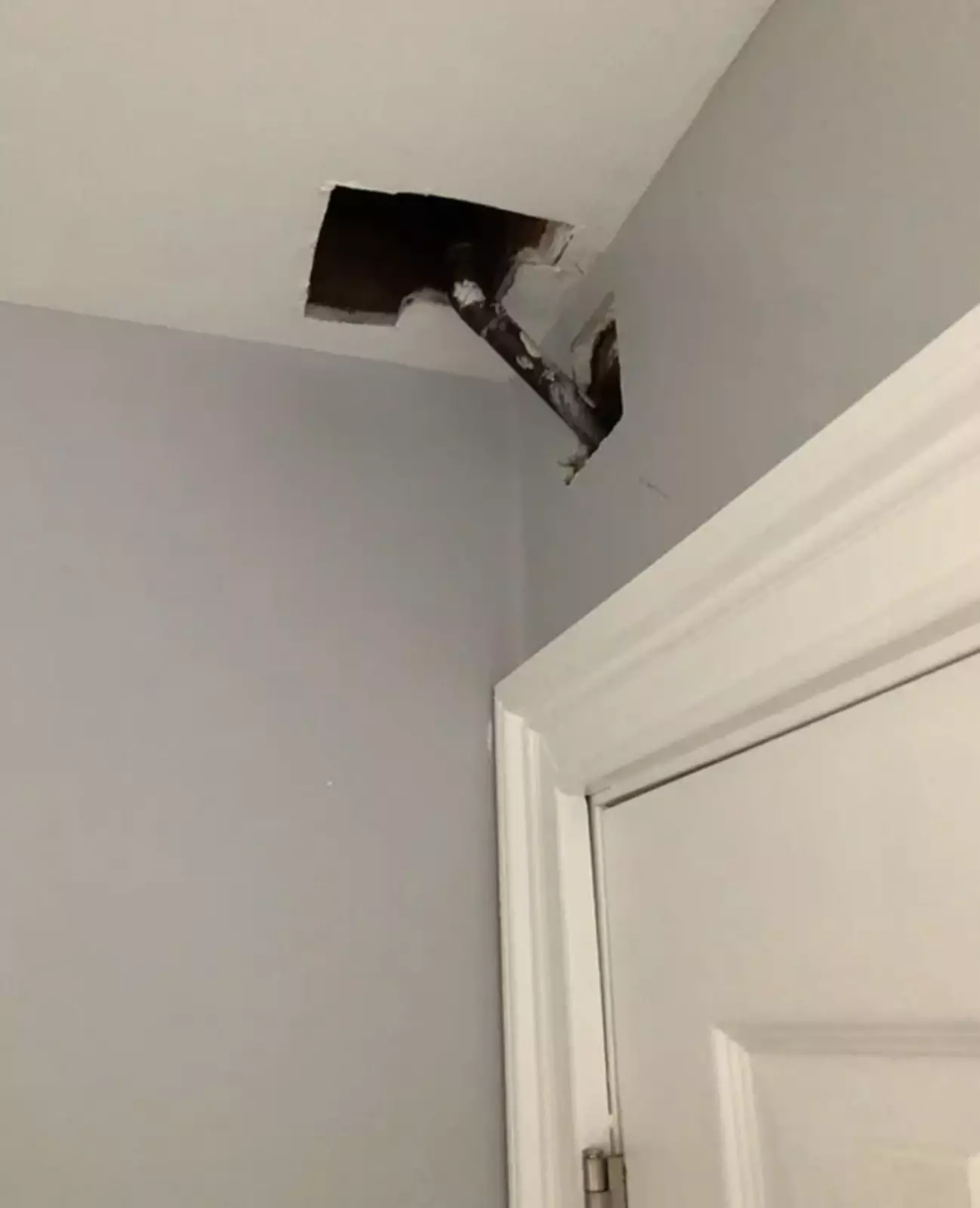 Почему? Почему?