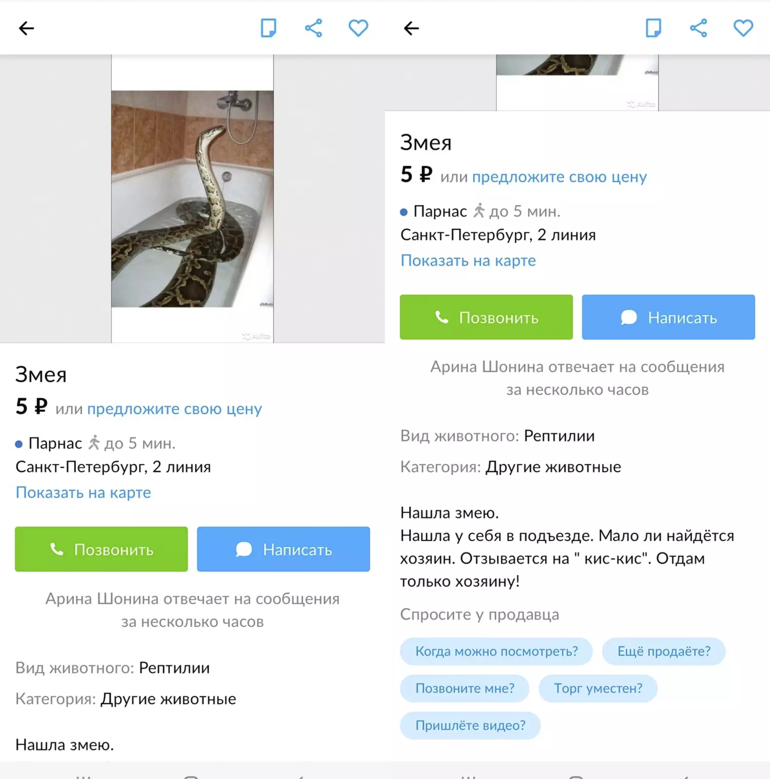 Чересчур смелая девушка. Чересчур смелая девушка.