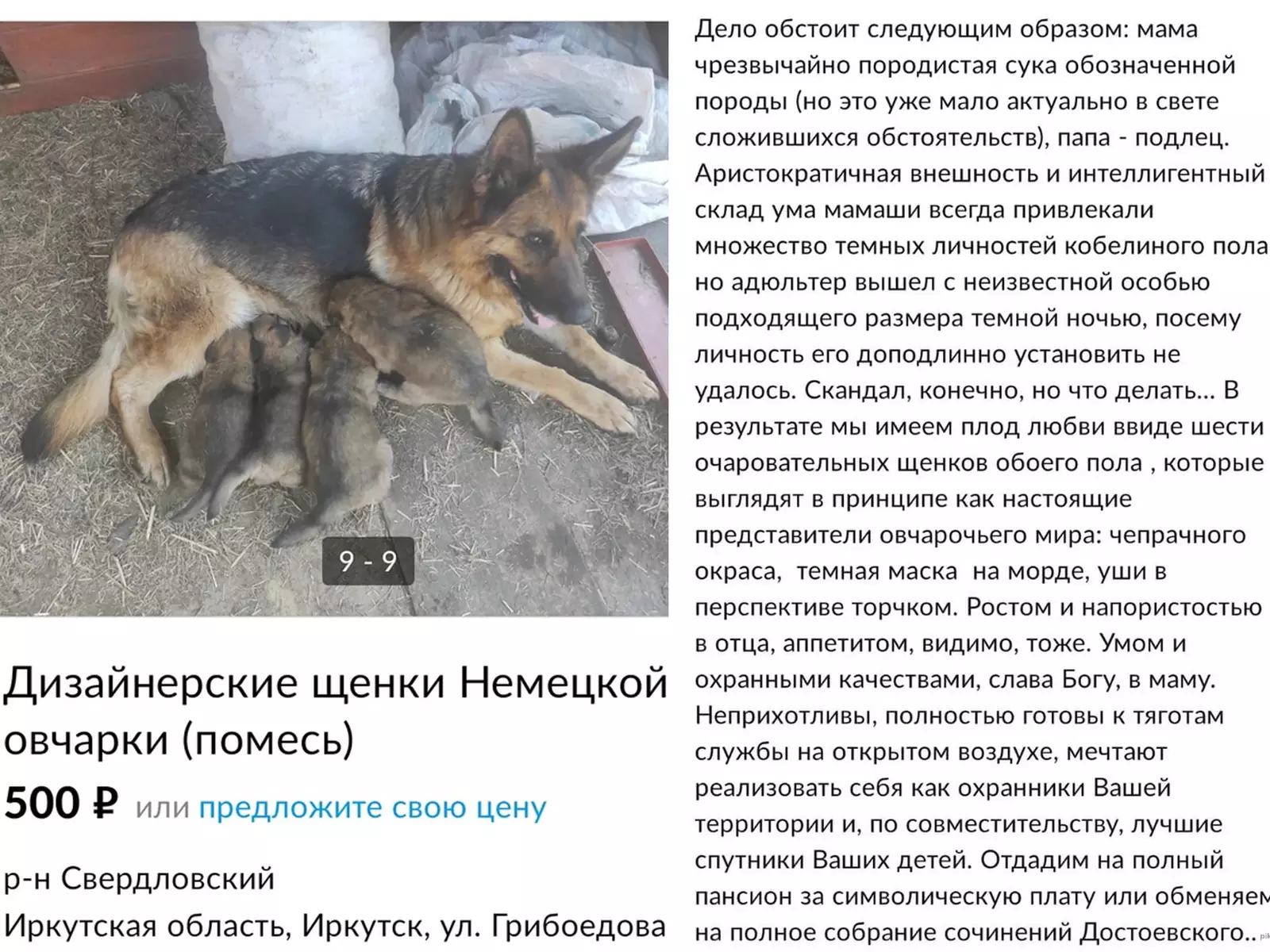 Ой. Ой.