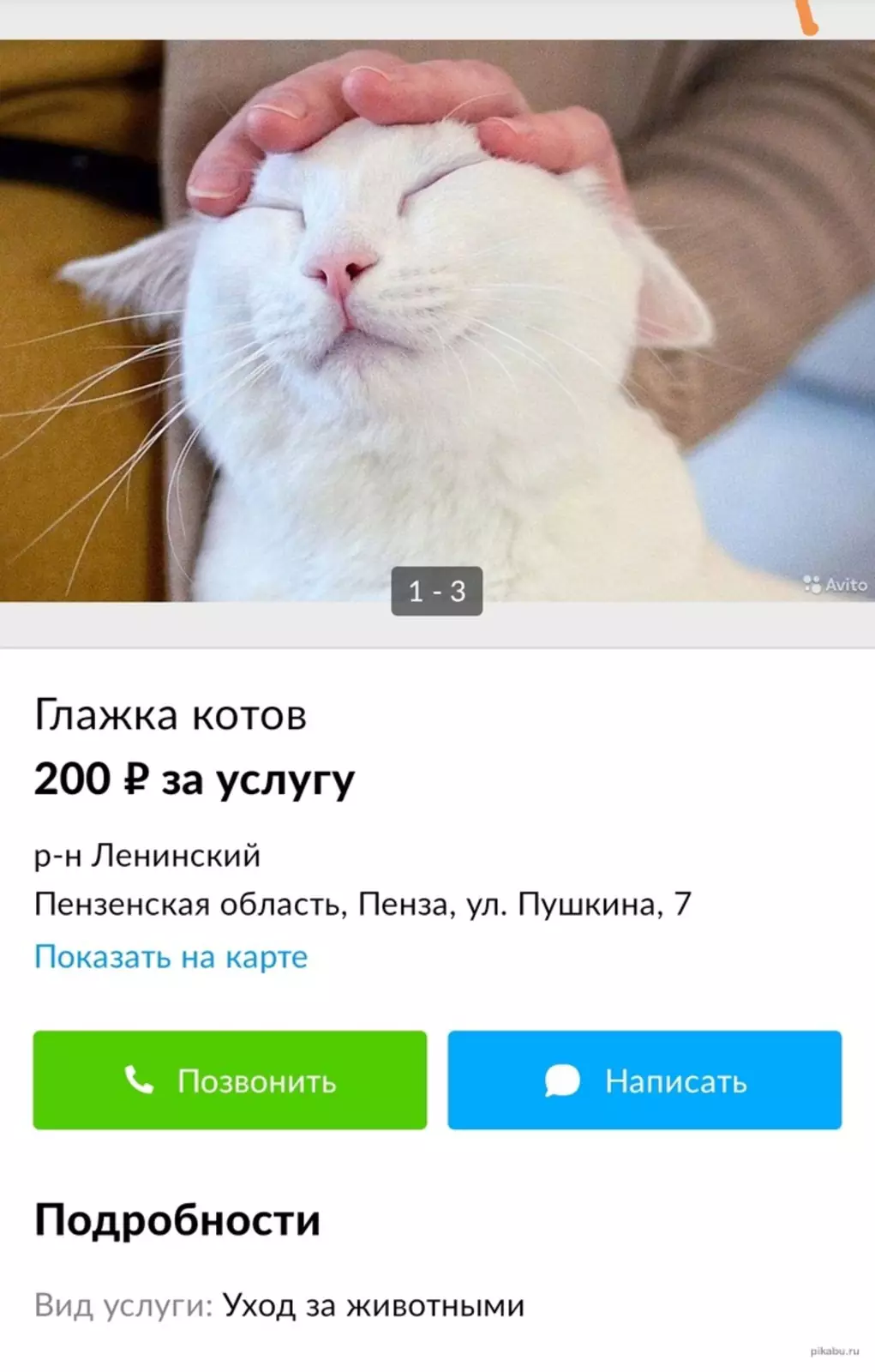 Если котикам станет одиноко. Если котикам станет одиноко.