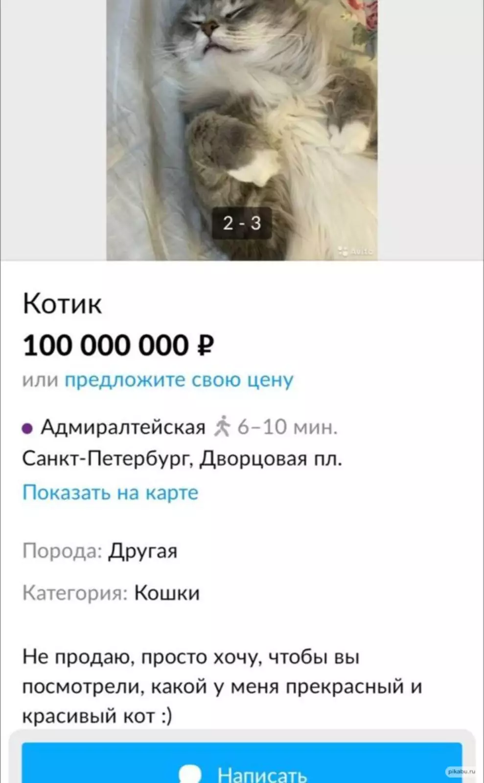 Оценили. Оценили.