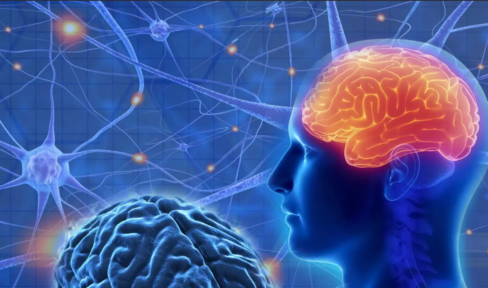 Неврология картинки для презентации