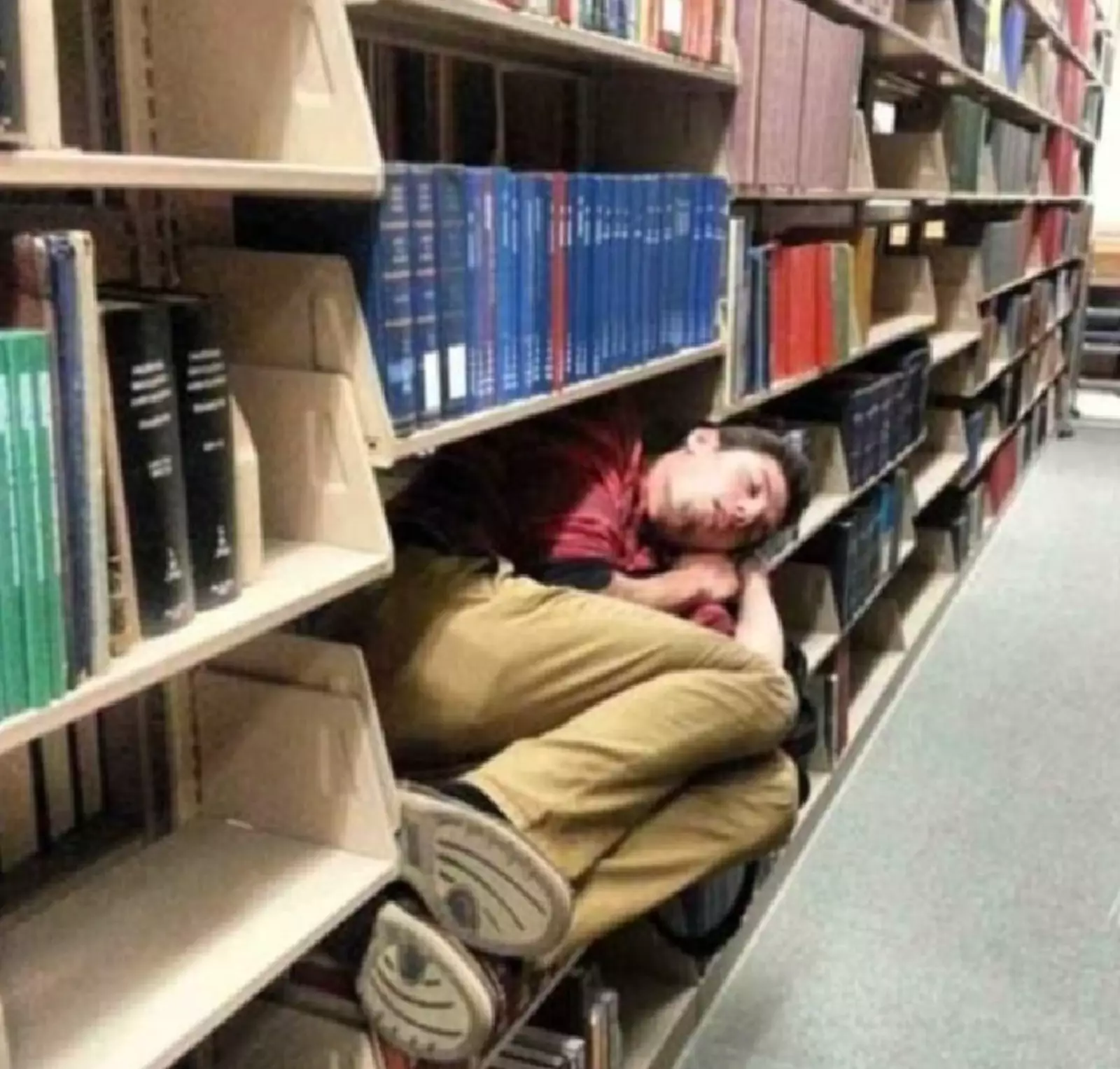 «Библиотека — единственное тихое место, где я смог поспать». «Библиотека — единственное тихое место, где я смог поспать».