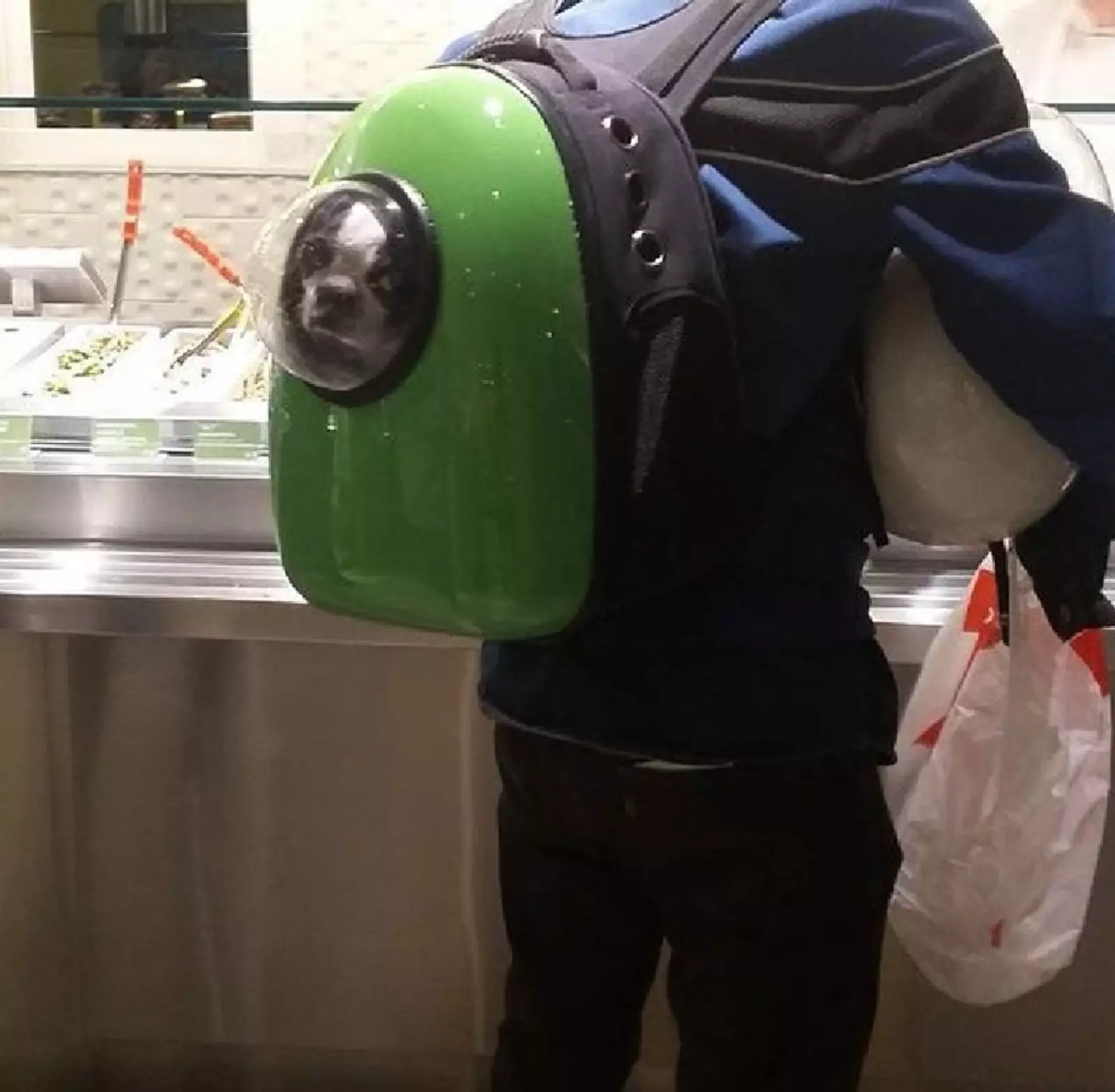 «Просто верните меня домой». «Просто верните меня домой».