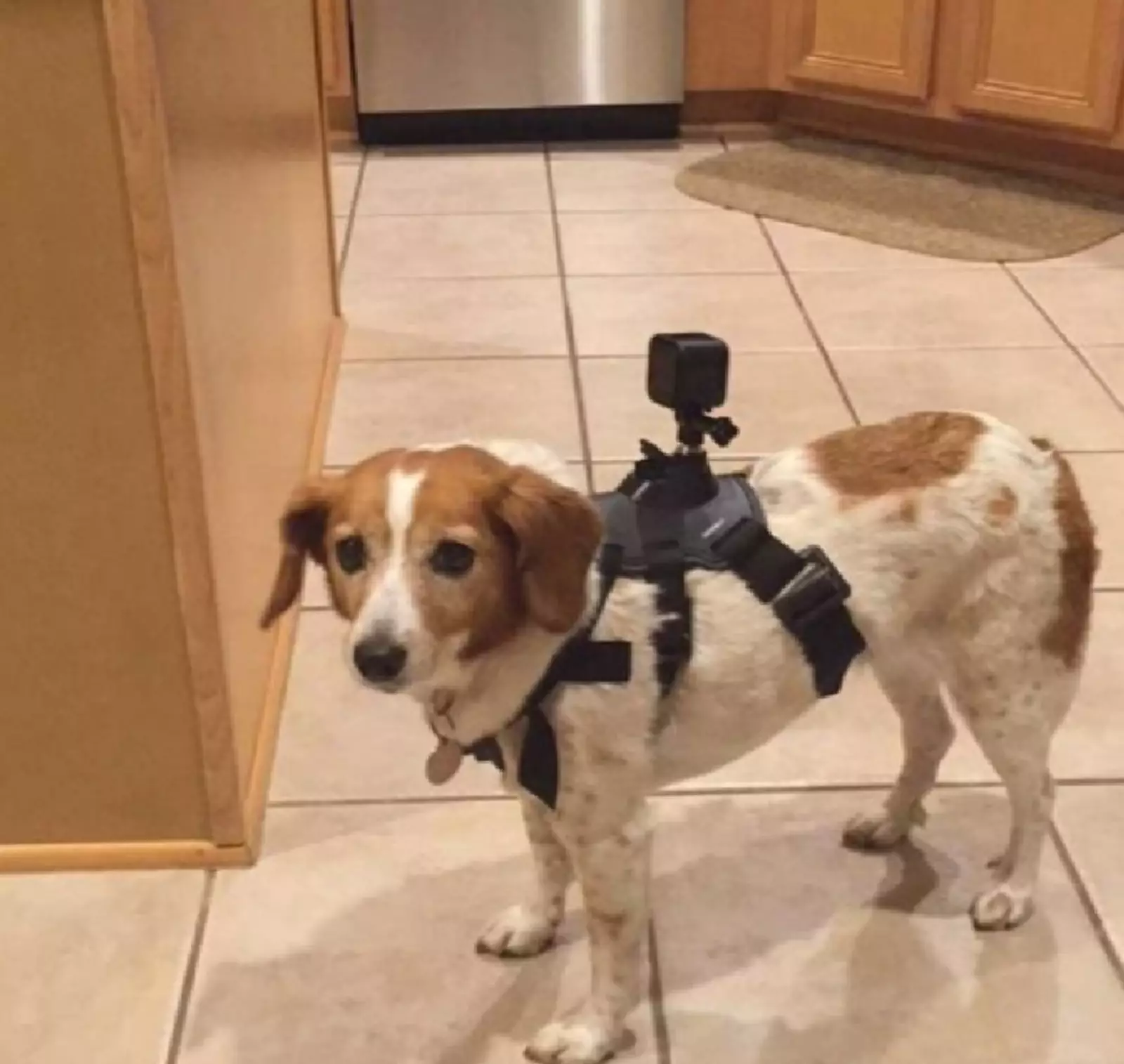 «И зачем ты нацепил это на меня?» «И зачем ты нацепил это на меня?»