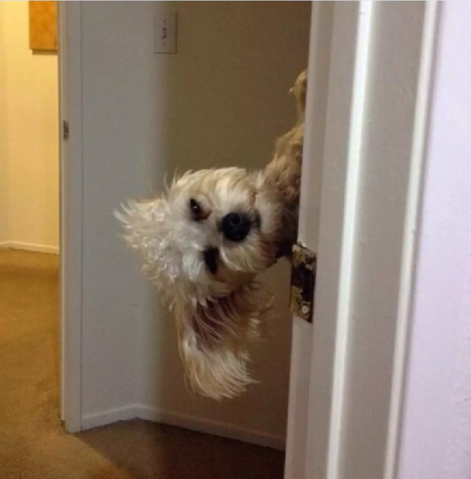 Взгляд, полный неодобрения. Взгляд, полный неодобрения.