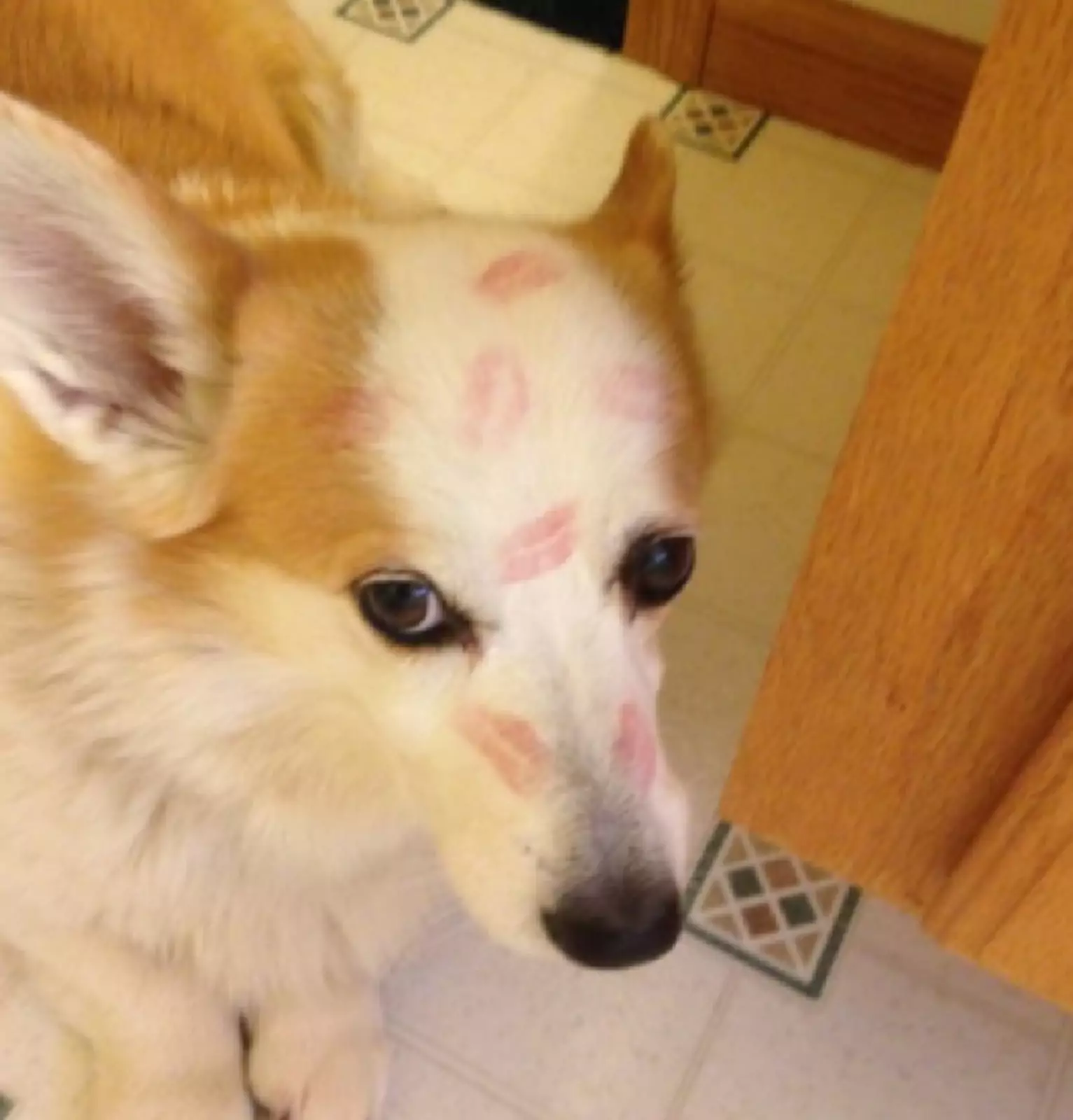 «За что?» «За что?»