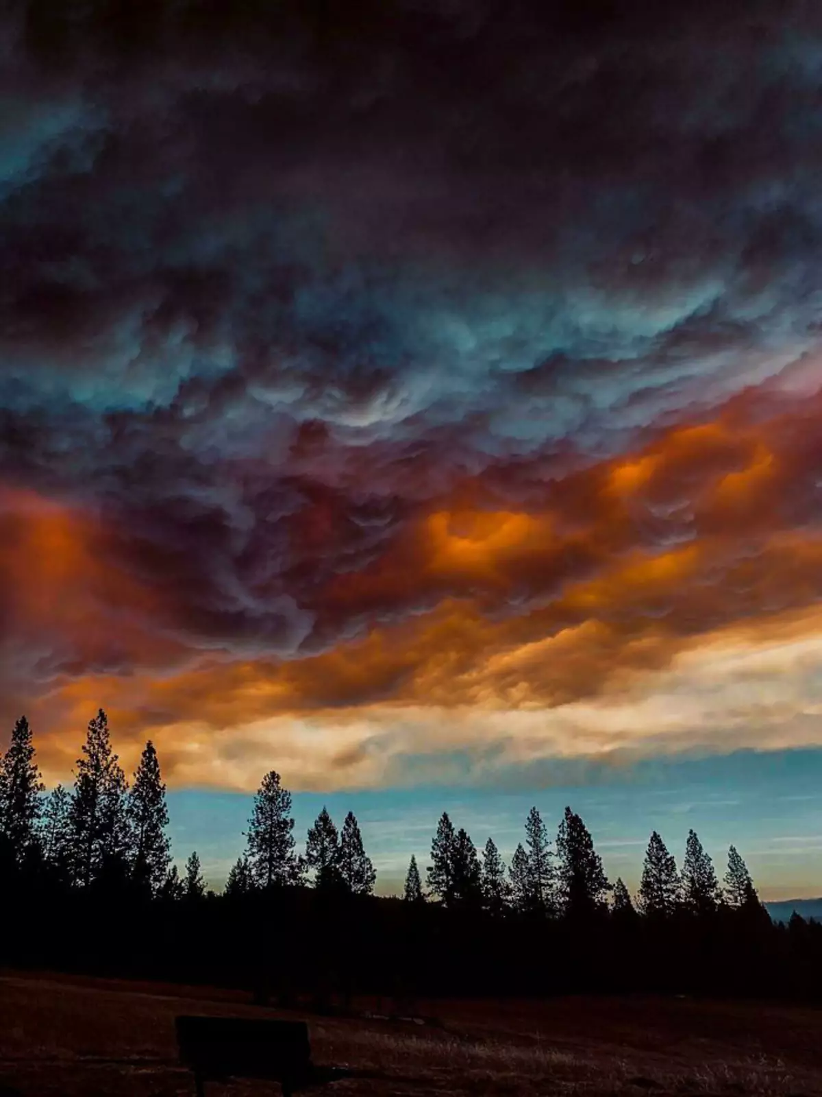 Апокалиптическое небо в Северной Калифорнии.