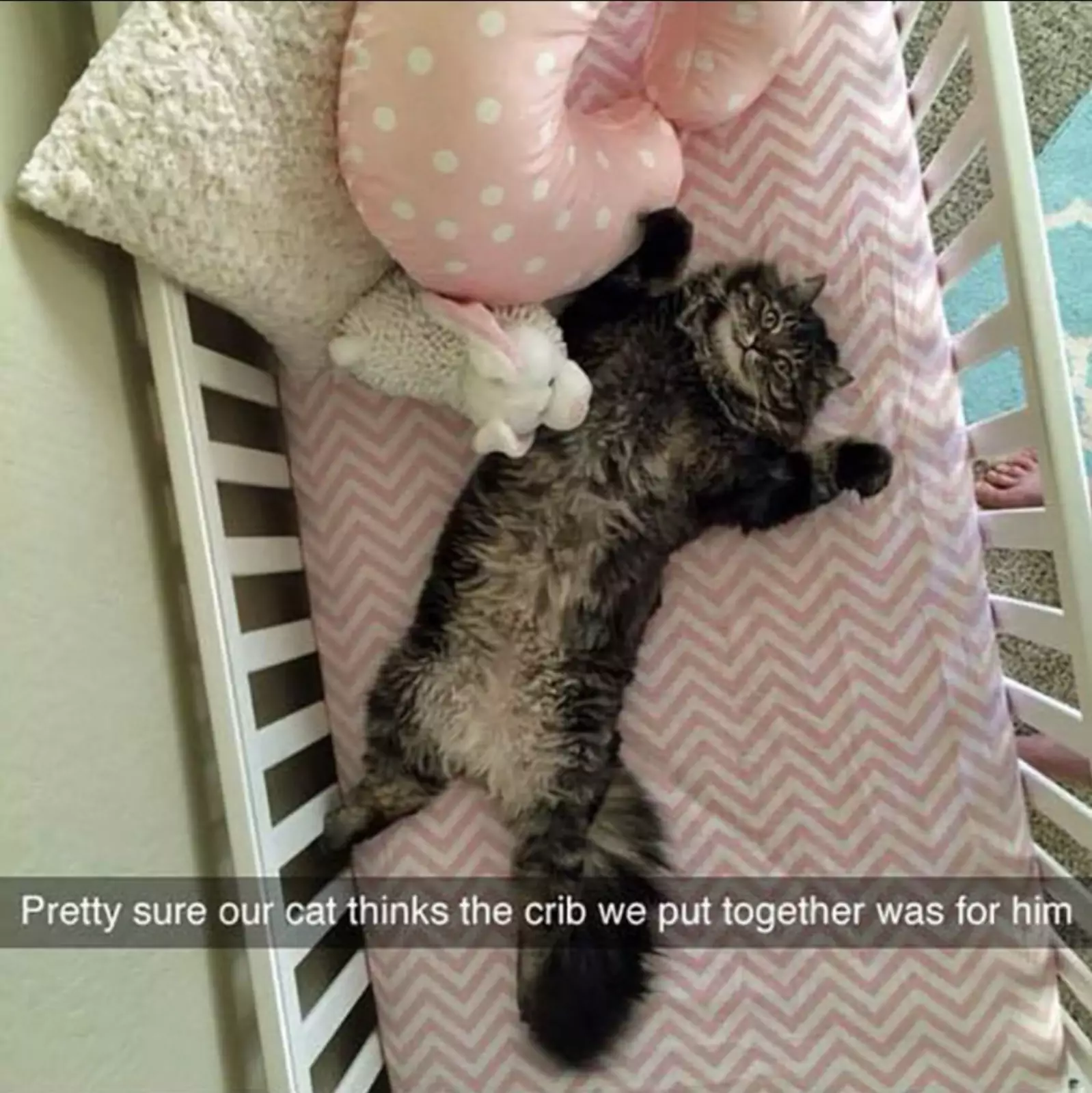 Он уверен, что эта кроватка для него.