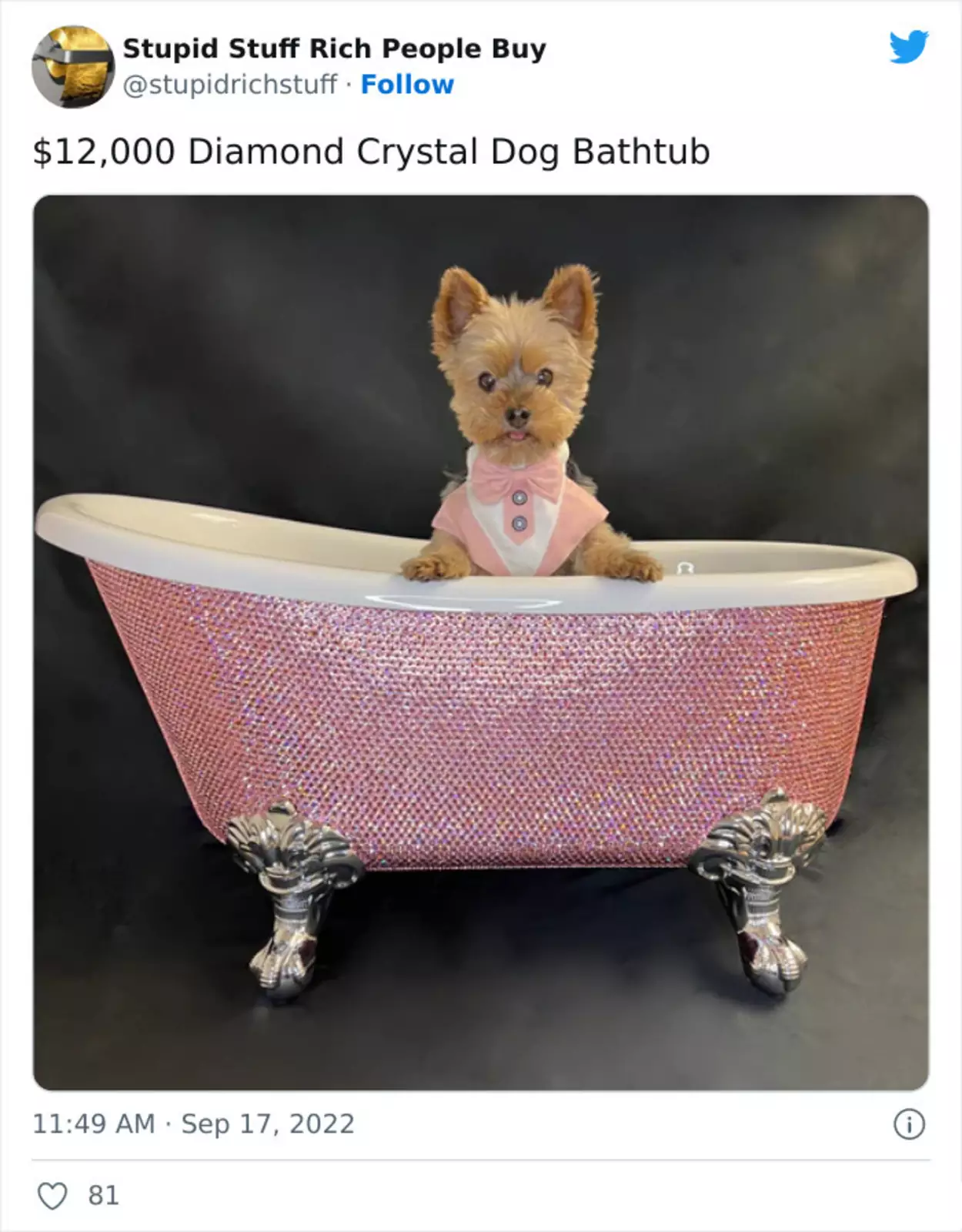 Алмазная ванночка для собак - $12 000