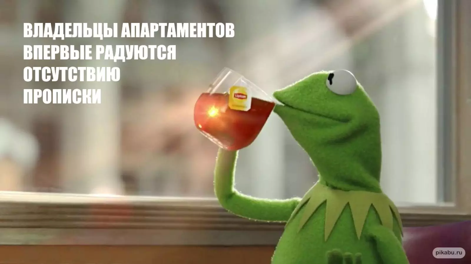 Хоть какой-то плюс. Хоть какой-то плюс.