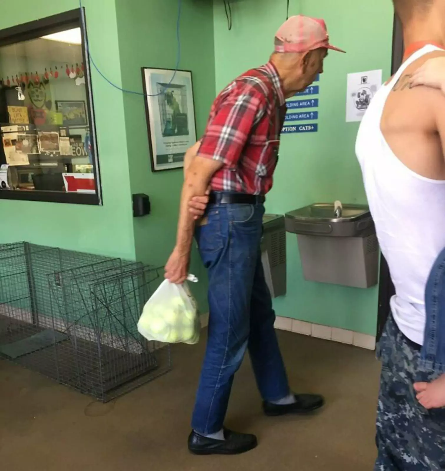 Этот старик жертвует теннисные мячи в приют для животных.