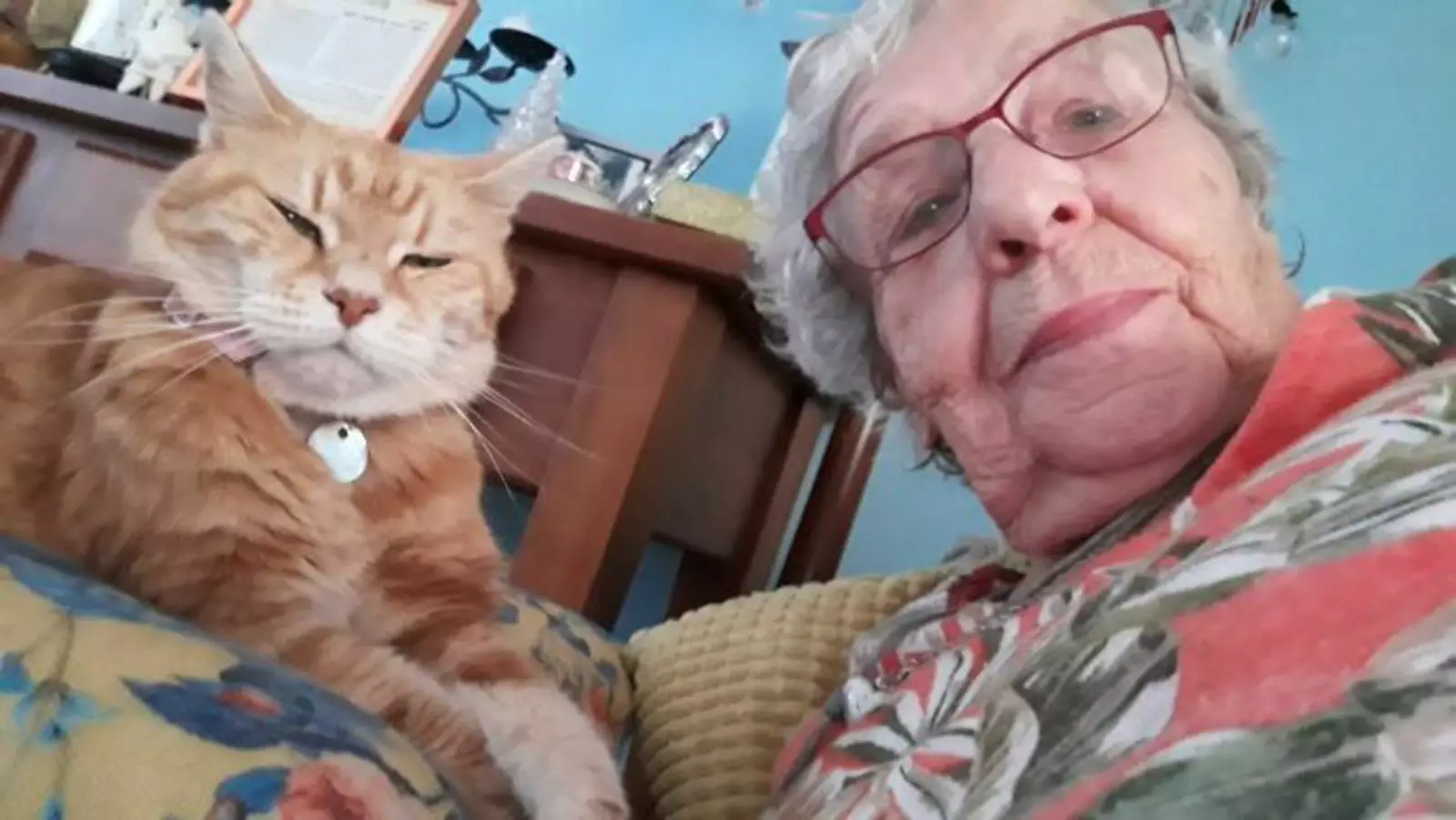 "Моя 90-летняя Нана и ее 23-летний кот обожают присылать мне селфи на ночь".
