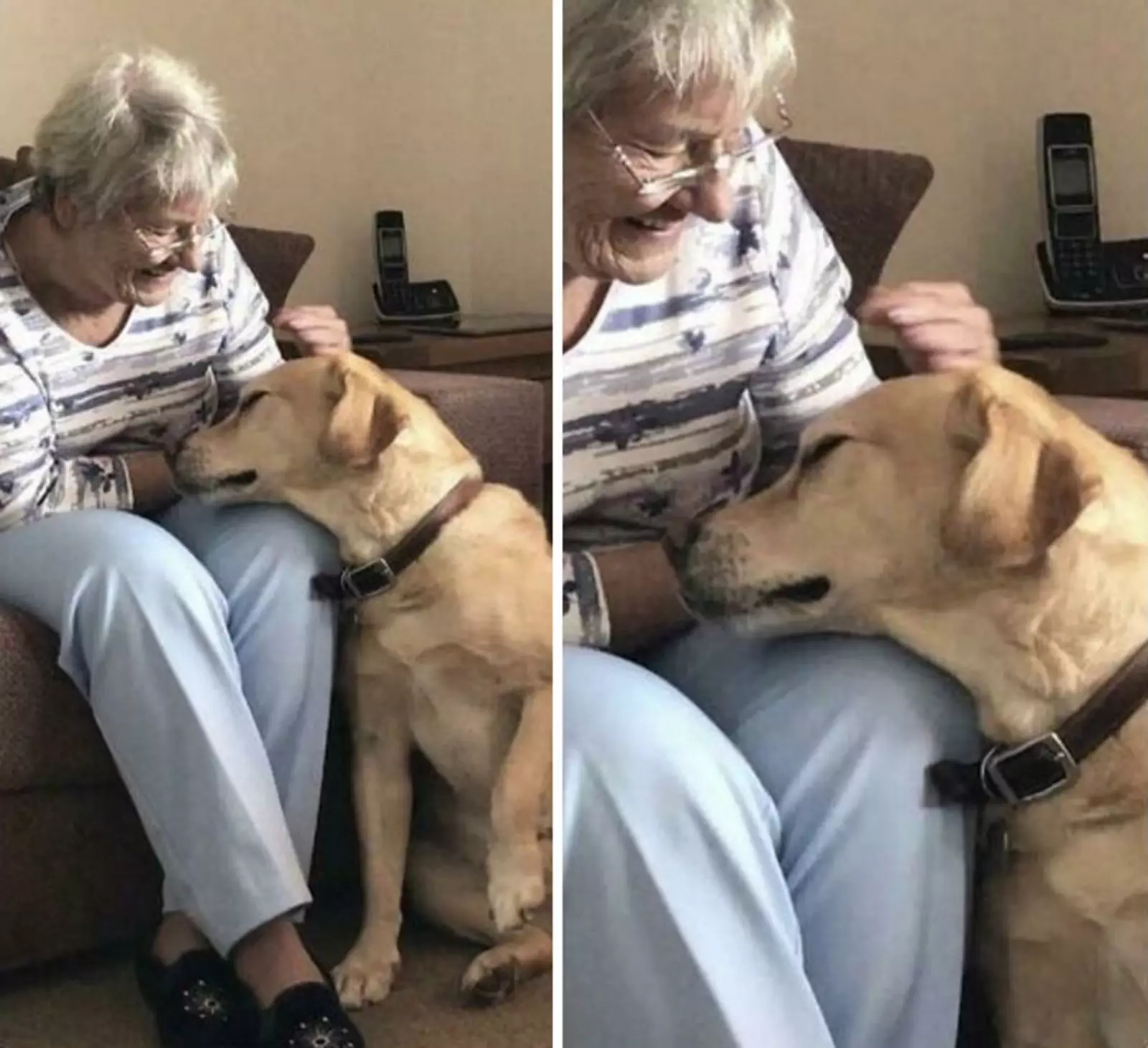 "У моей няни деменция, и каждый день она впервые встречает моего пса и влюбляется в него снова и снова. Мне удалось поймать один из этих моментов".