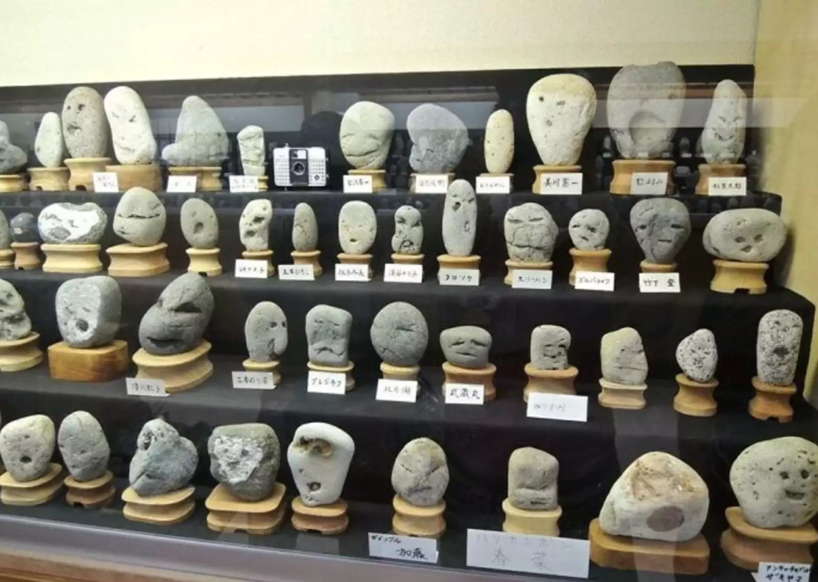  Фото из японского музея, в котором представлены природные камни уникальной формы со смайликами на них.