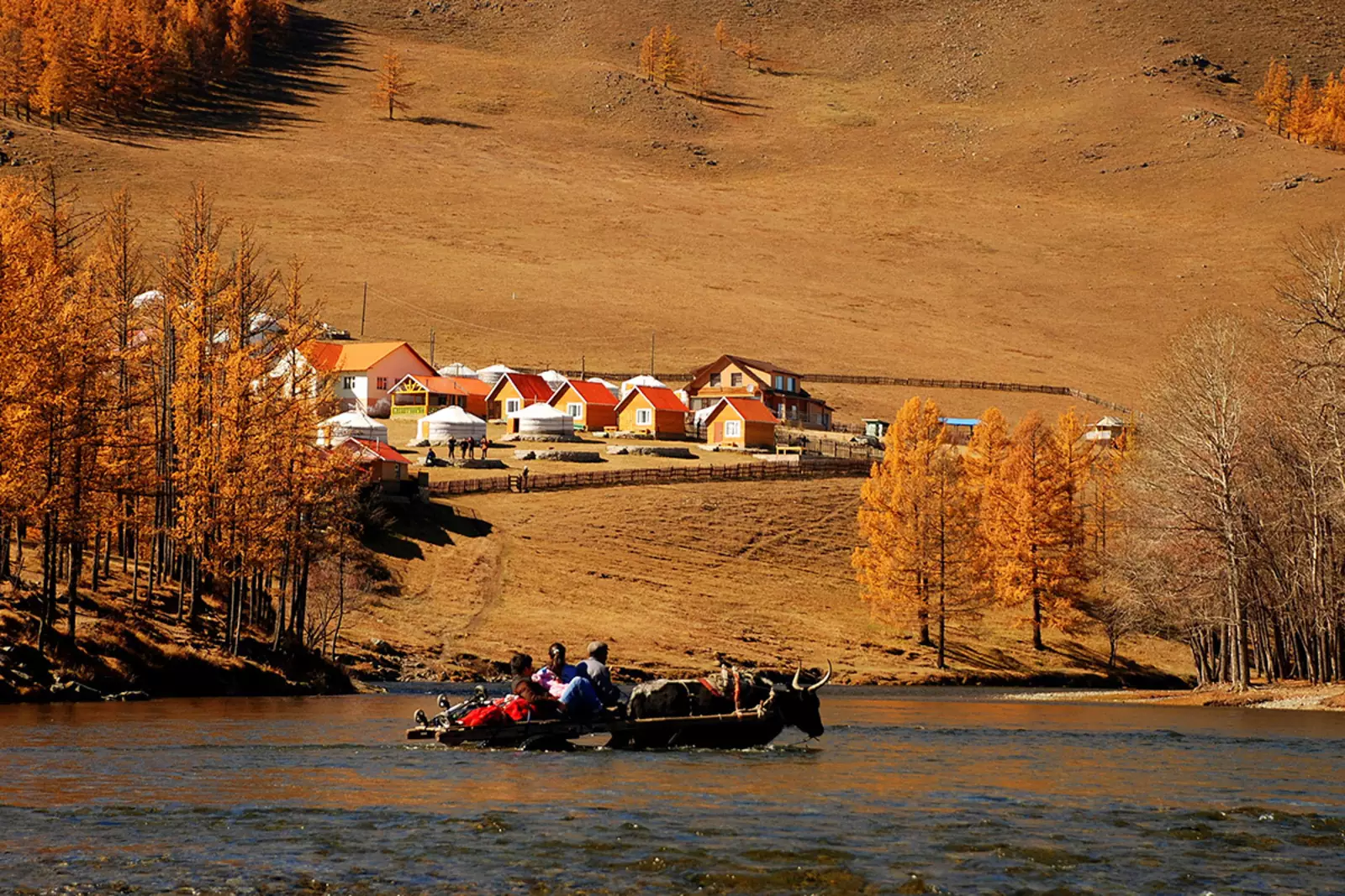 Осень в Монголии