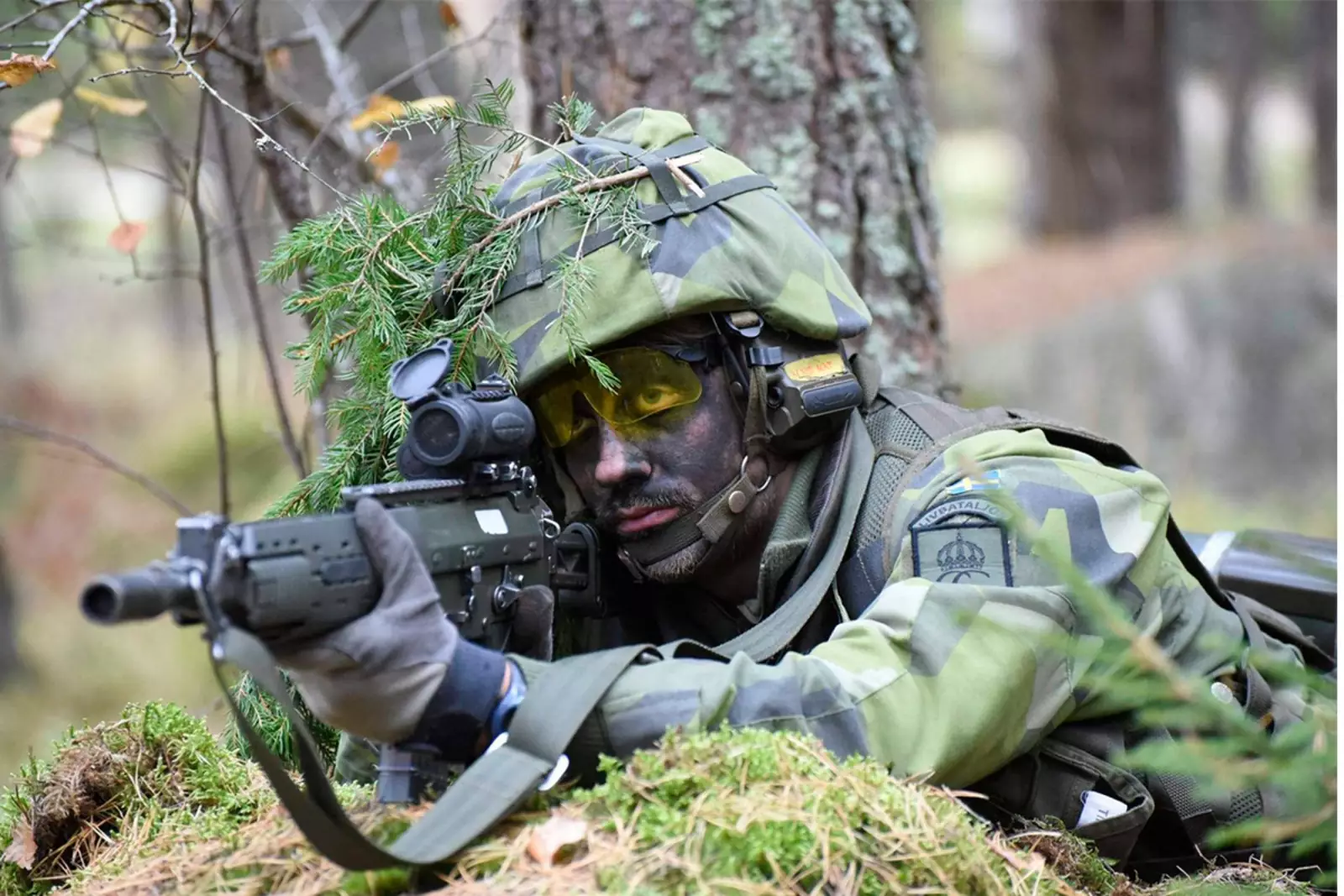 Шведский солдат 