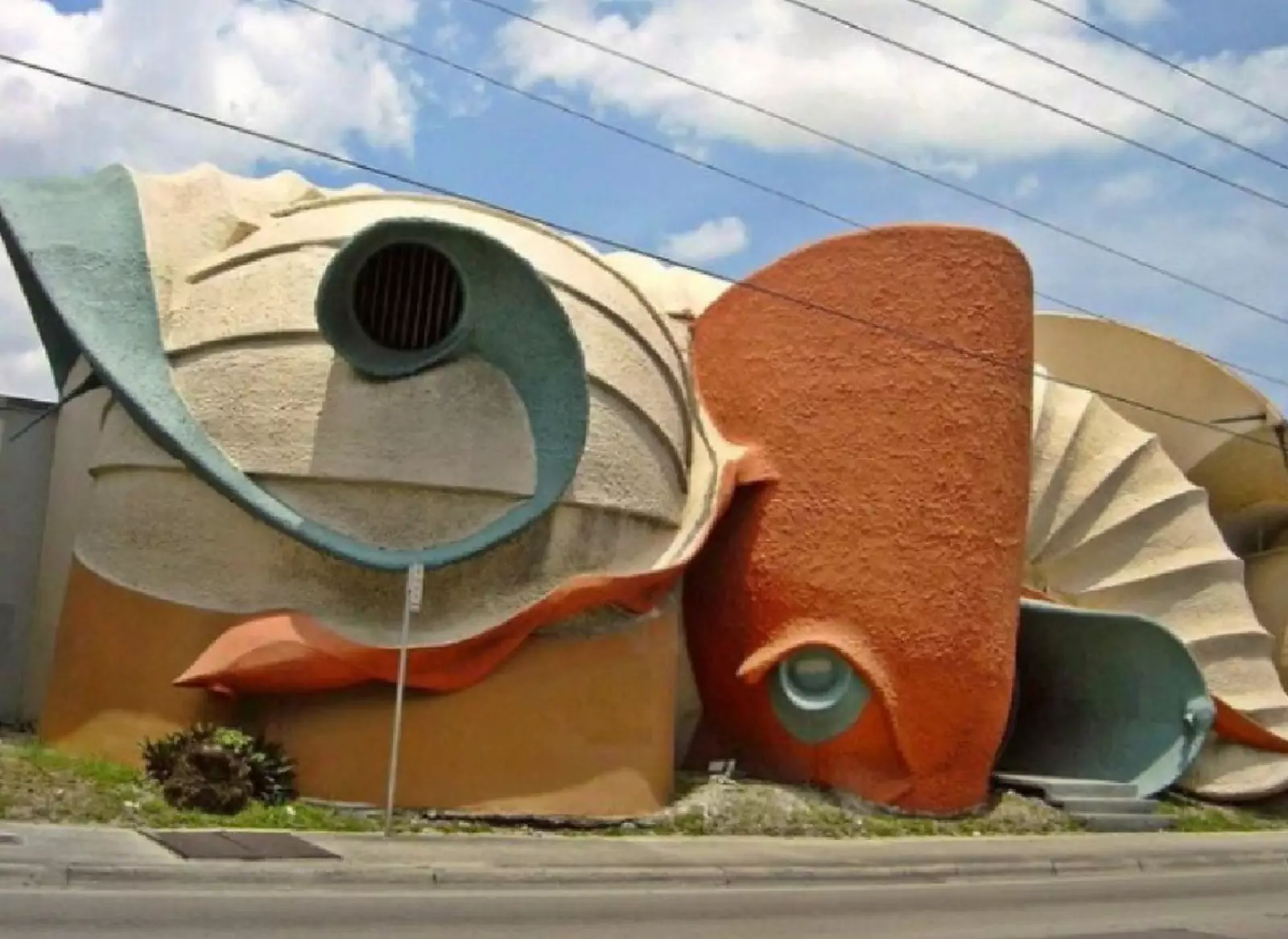 Что это такое? Что это такое?