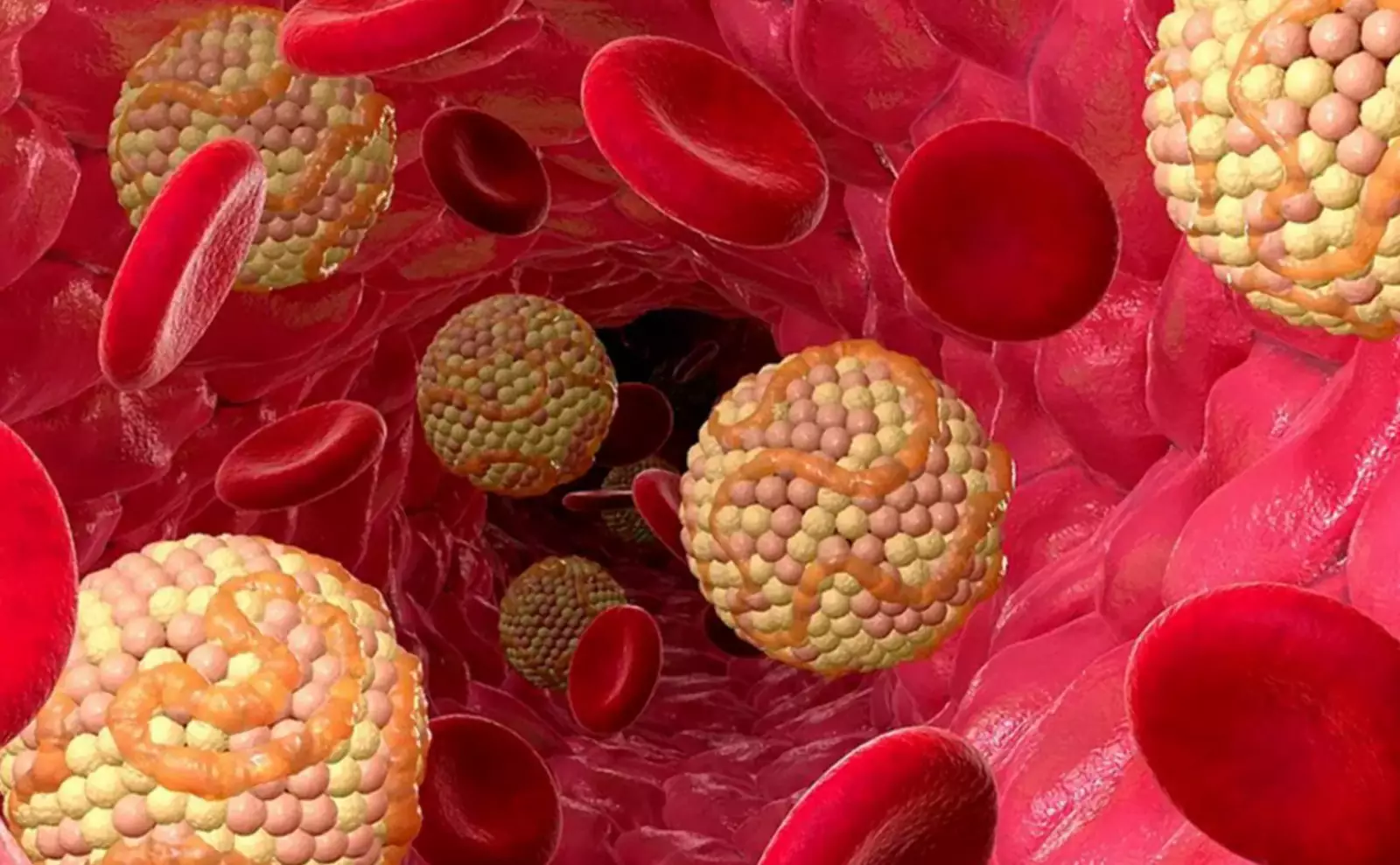 Холестерин. Холестерин.