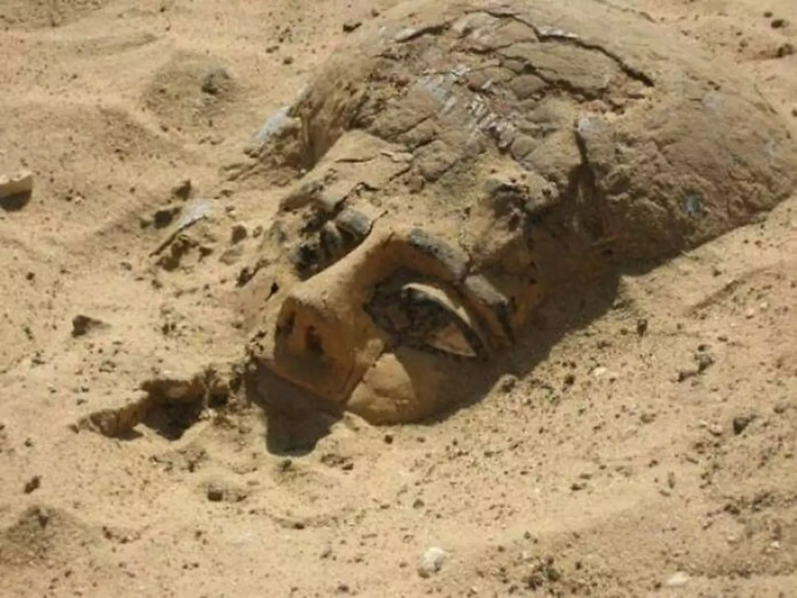 Деревянный саркофаг в песках Абидоса, Египет. 
