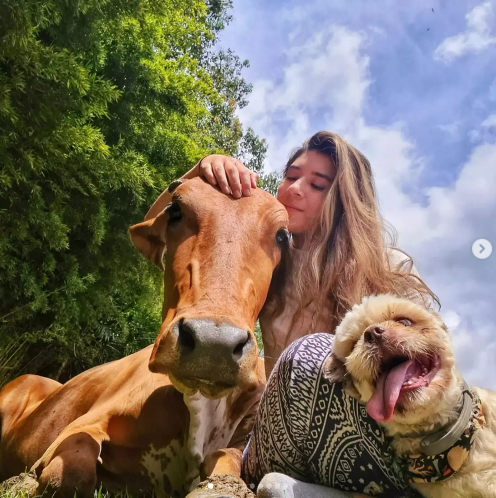 Клементина быстро подружилась со всеми жителями фермы.