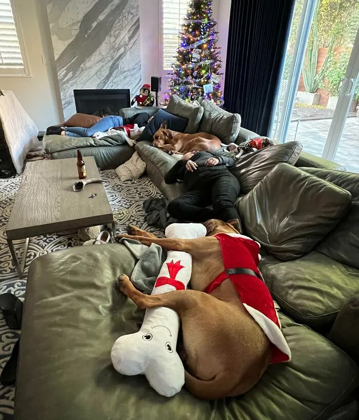 Под конец рождественской вечеринки.