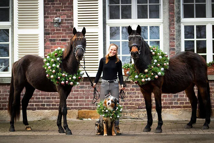 Рождественская открытка.
