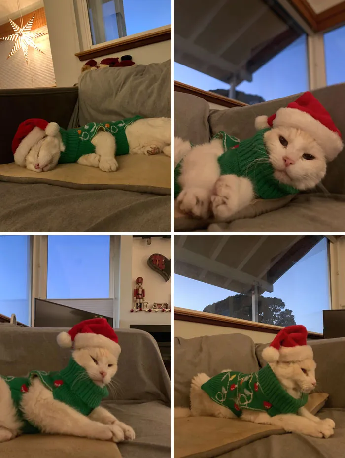 Счастливого Рождества от 17-летнего Уолтера.