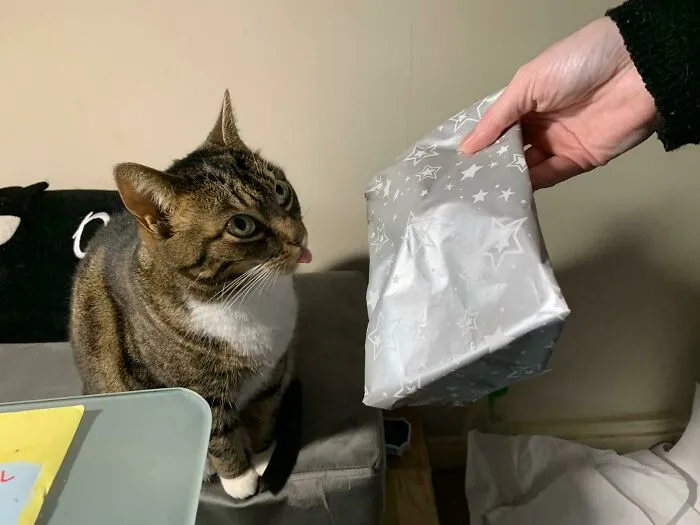 Вручение рождественского подарка.