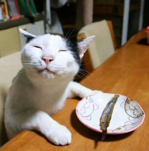 Он очень рад своему рождественскому ужину.