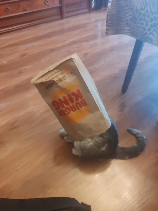 «Она в порядке, не волнуйтесь».