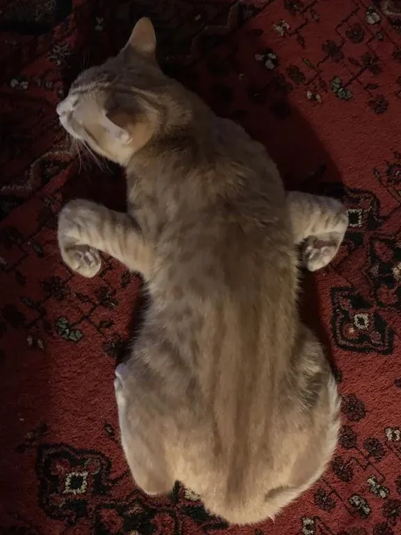 Сломался после игр.