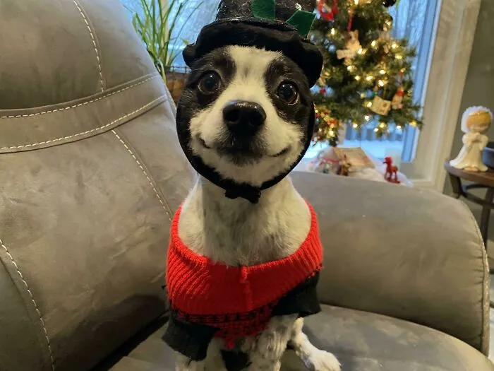 «К Рождеству готов».