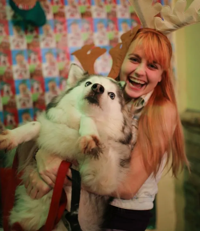 «Я пыталась сделать милое рождественское фото с собакой».