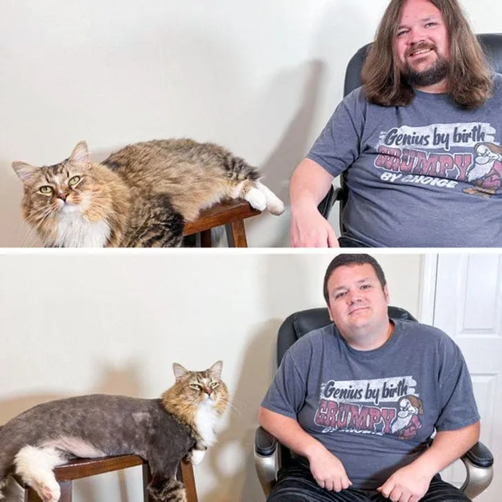 «Когда твой кот готов во всем тебя поддерживать».