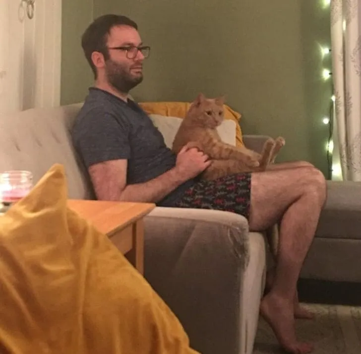 «Наш кот любит сидеть так же, как мой папа».