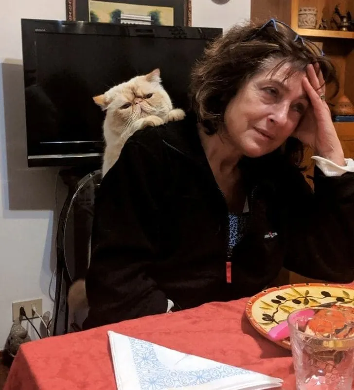 «Моя тетя и ее кошка, которая почти никогда ее не покидает».