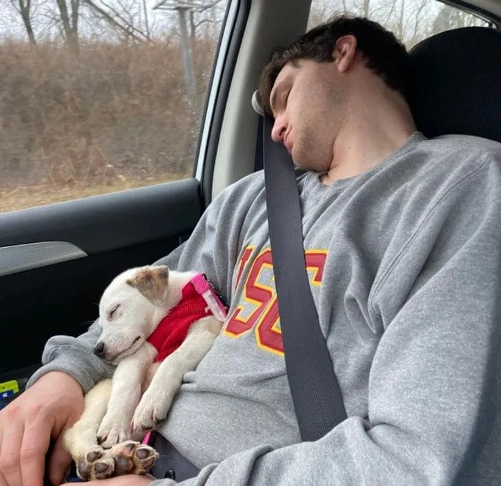 «Какой отец — такая и дочь».