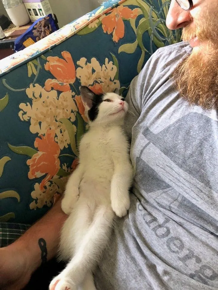 «Я и мой кот Милкшейк наслаждаемся отпуском».