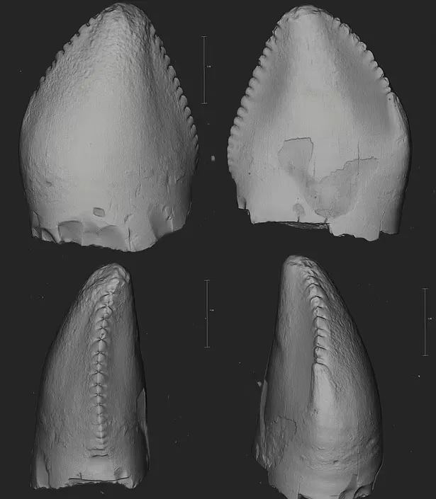 Невзирая на внушительные зубки, теризинозавры были травоядными.